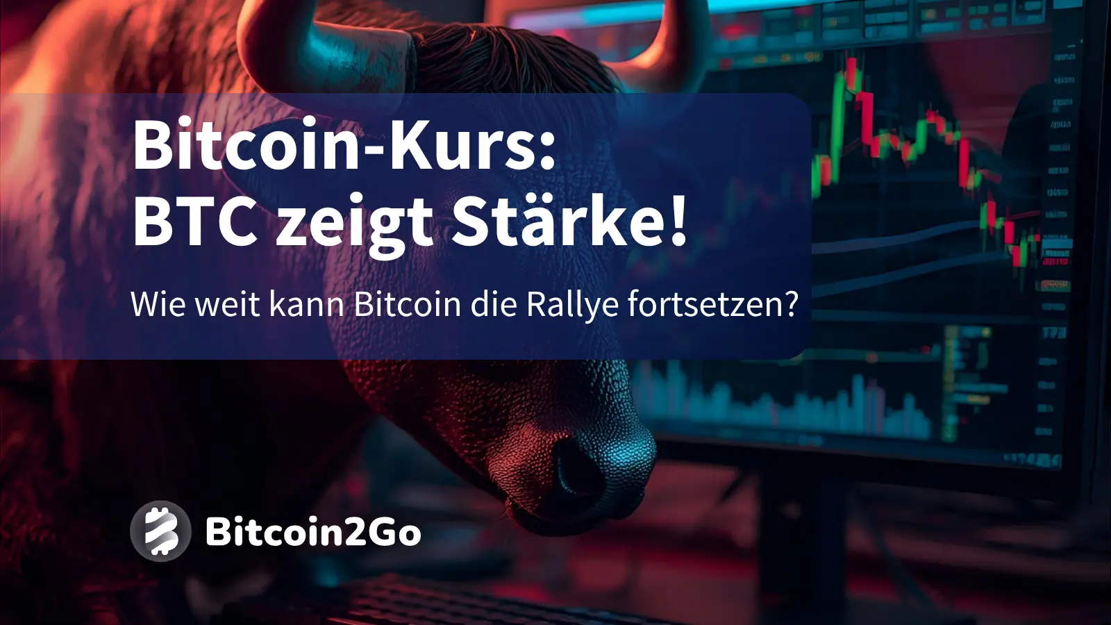 Bitcoin-Kurs zieht deutlich an: Die Bullen melden sich zurück
