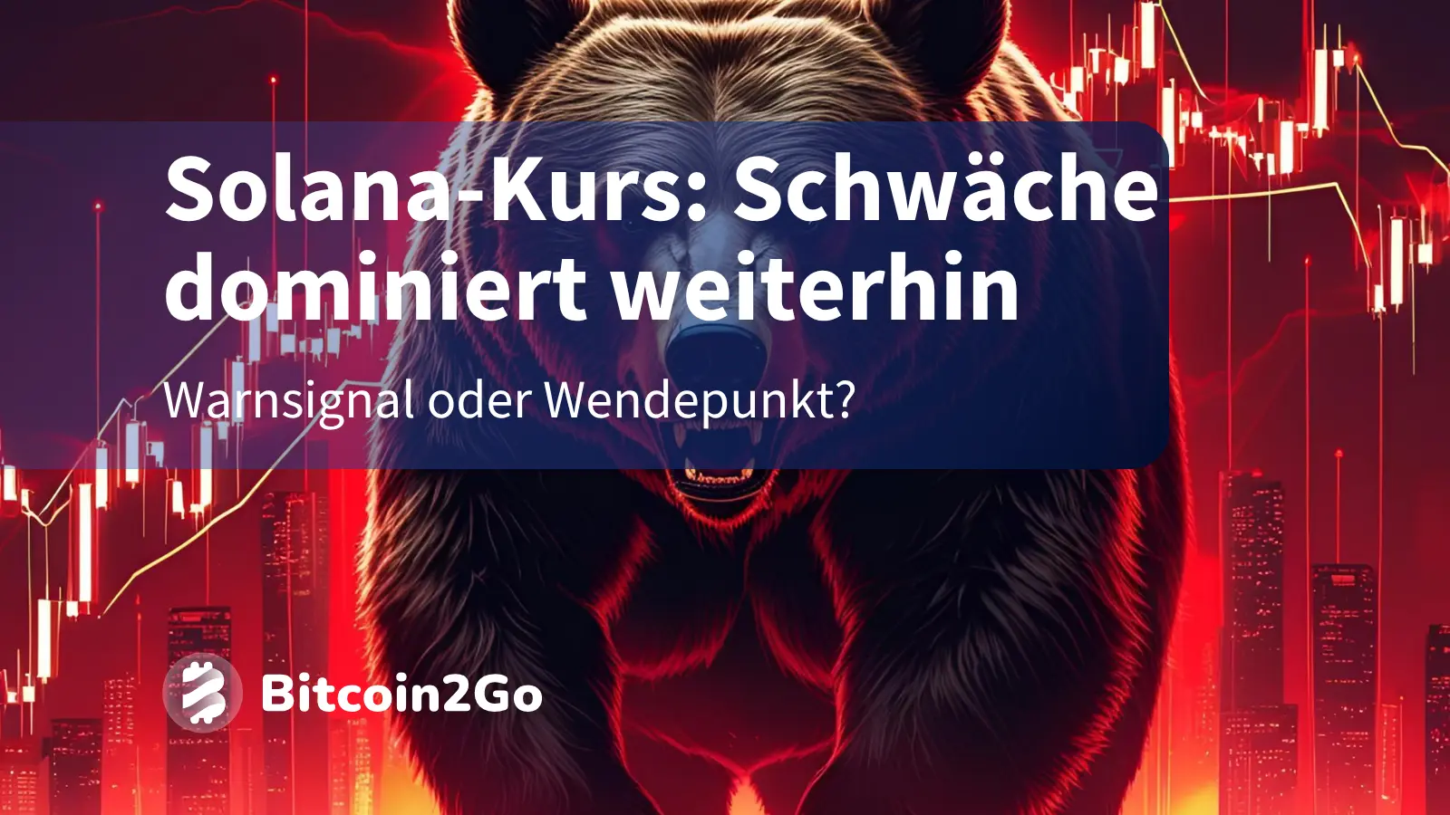 Solana-Kurs im freien Fall: Wo könnte der Kurs Käufer finden?