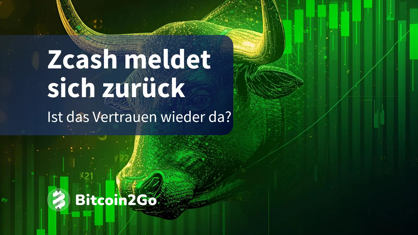 Zcash-Kurs erholt sich kräftig: Anleger schöpfen Hoffnung