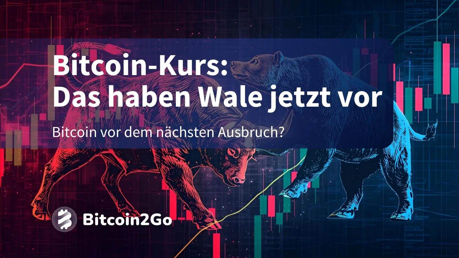 Bitcoin-Kurs: Wale kaufen massiv – kommt der nächste Schub?