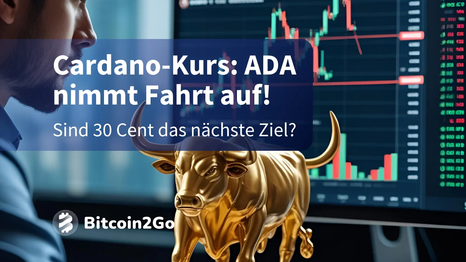 Cardano-Kurs: Nimmt ADA jetzt Kurs auf 30 Cent?