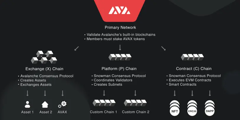 Screenshot der Avalanche (AVAX) Blockchain-Struktur