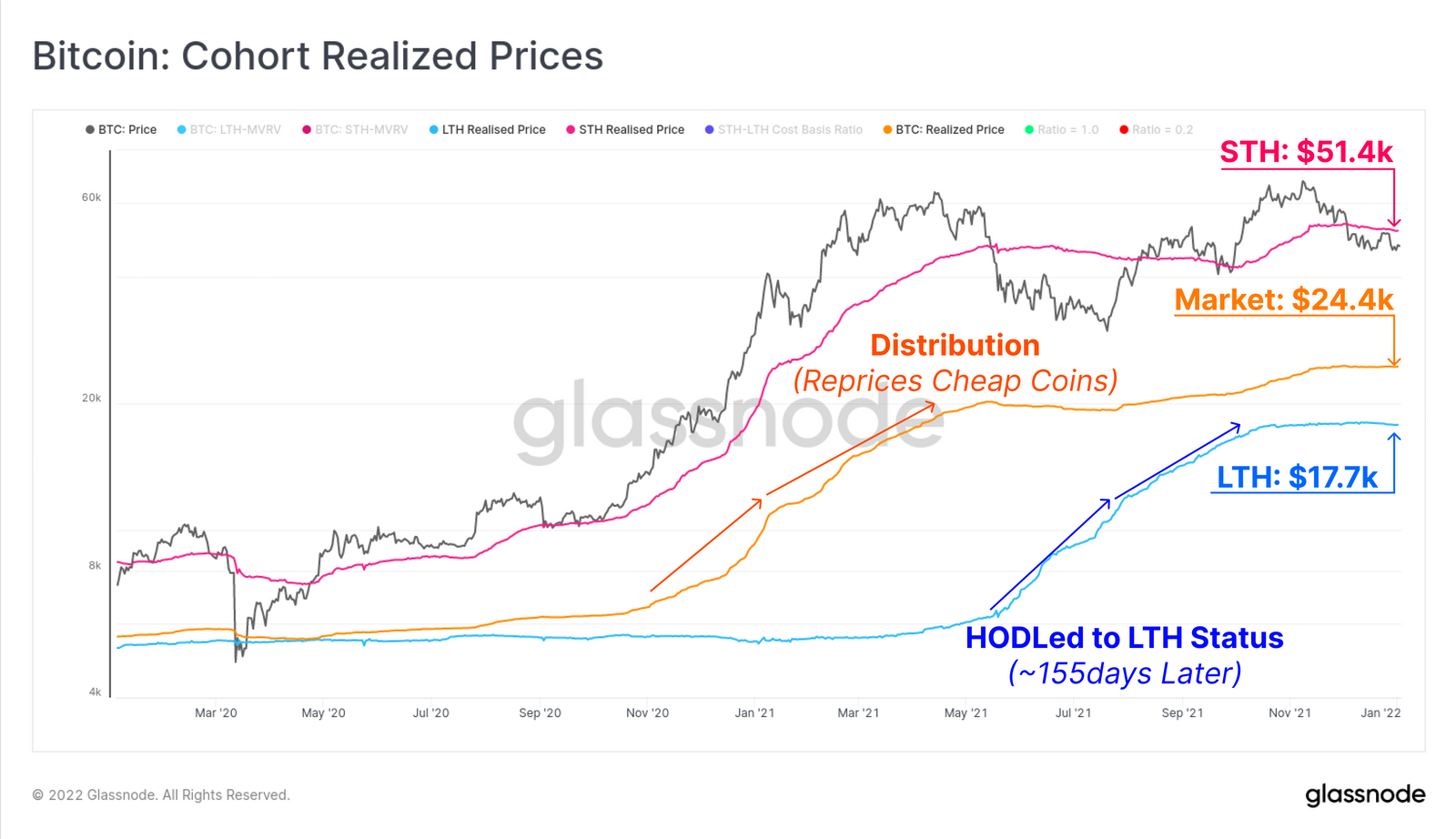 Durchschnittliche Kaufpreise von Long Term- und Short Term Holdern- Grafik