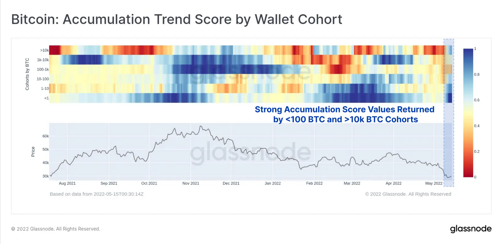Bitcoin Accumulation Trend Score nach Gruppen - Grafik