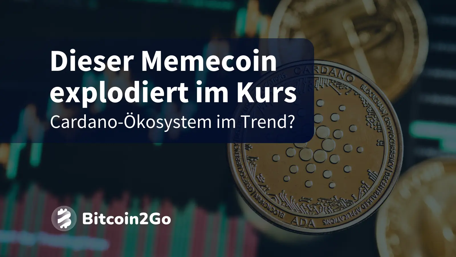 Bitcoin stagniert » Cardano Memecoin explodiert!