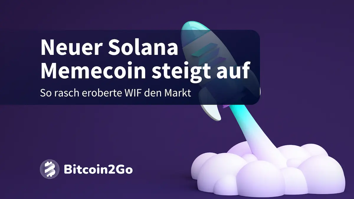 Dogwifhat (WIF): Alle Infos Zum Neuen Solana Meme-Coin