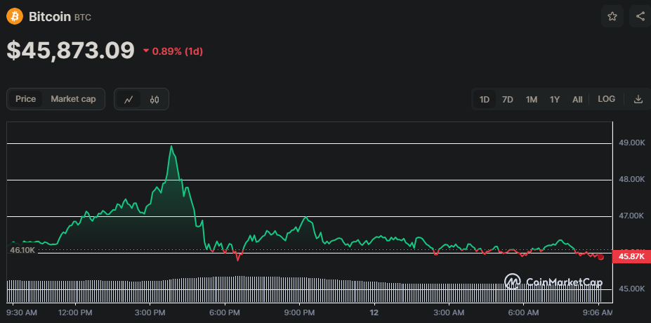 BTC/USD Chart der letzten 24 Stunden, Quelle: CoinMarketCap