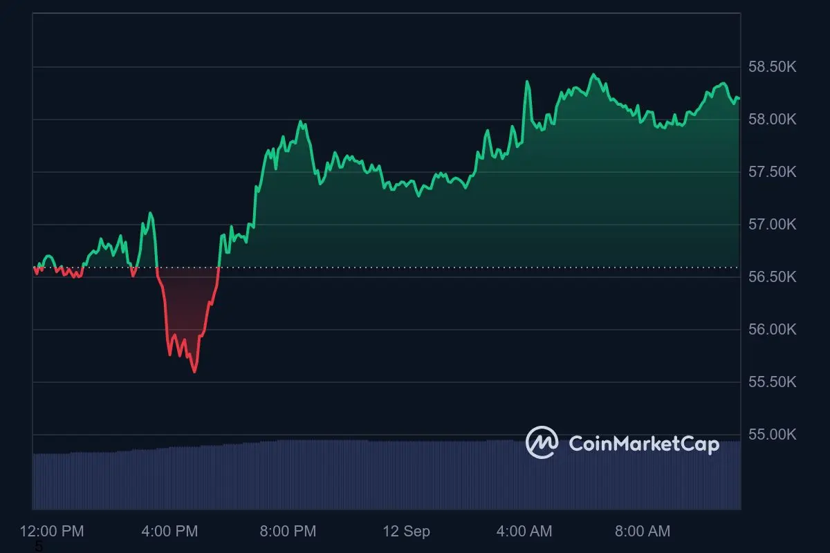 Bitcoin-Kurs Tagestrend 12. September 2024