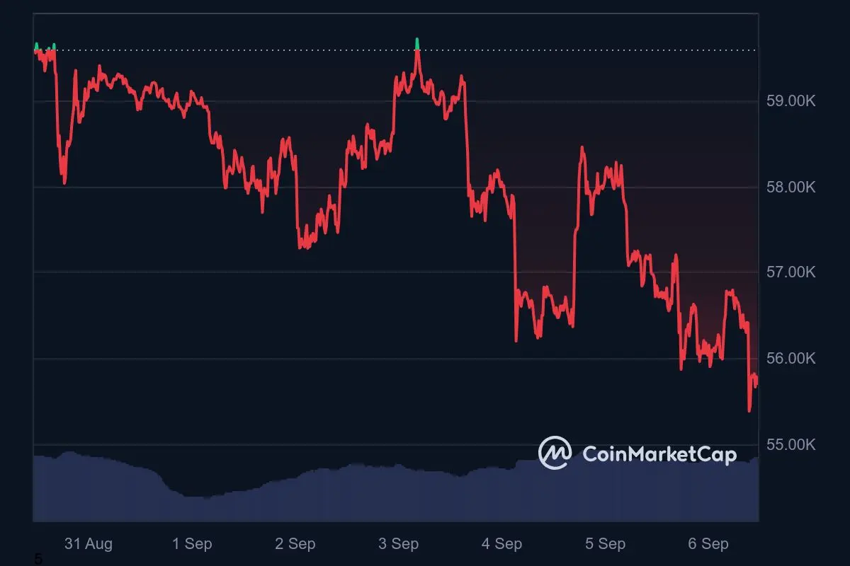 Bitcoin Kurs Wochentrend 6. September 2024