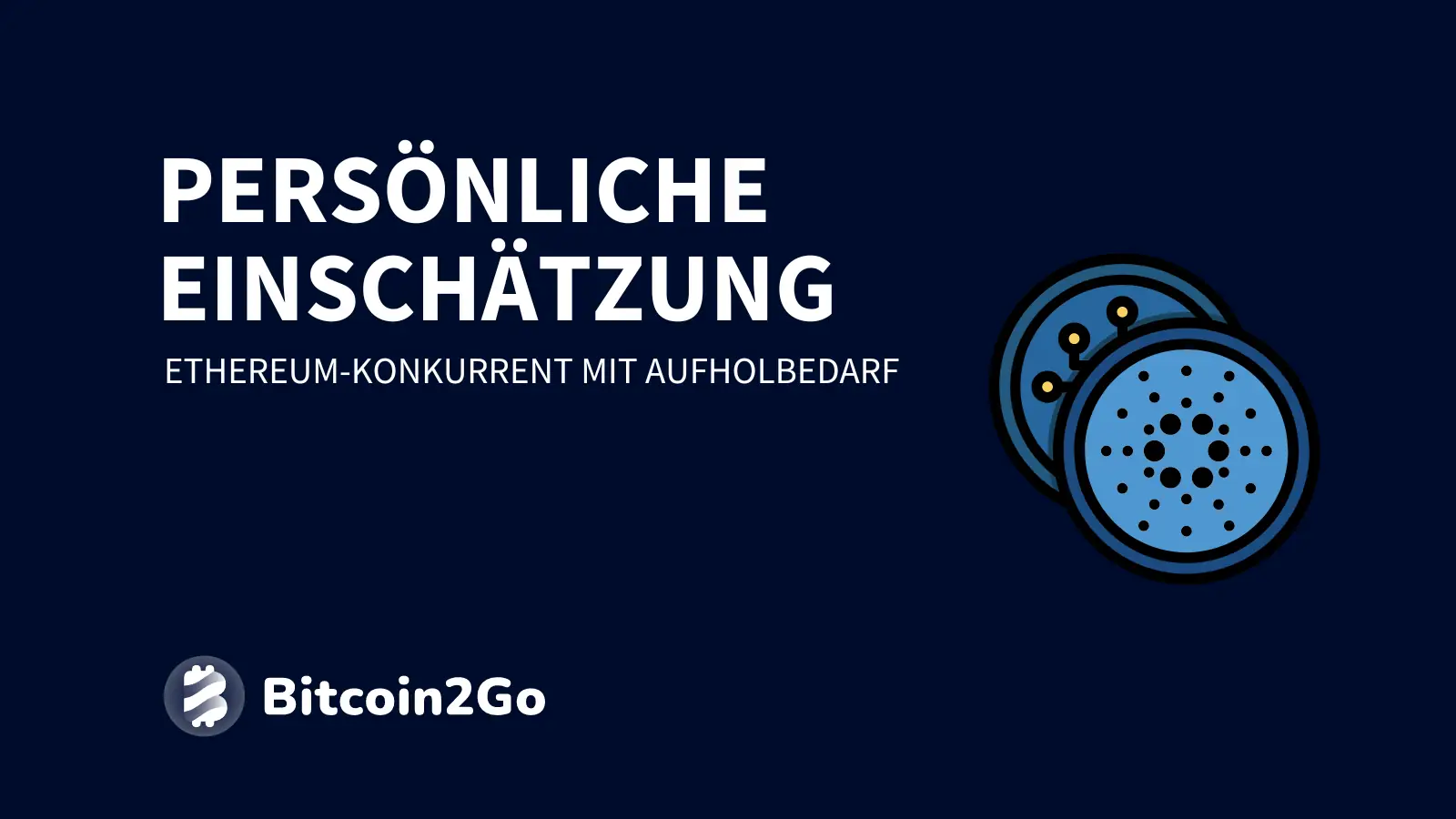 Unsere persönliche Einschätzung von Cardano