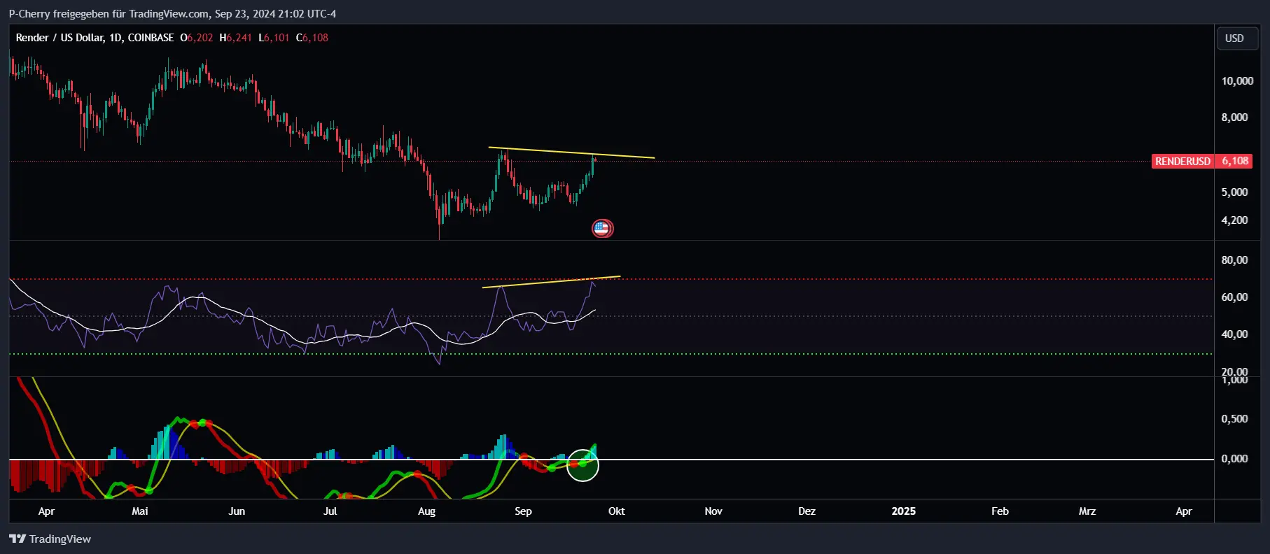 RENDER, RSI und MACD, Tageschart, Quelle: Tradingview