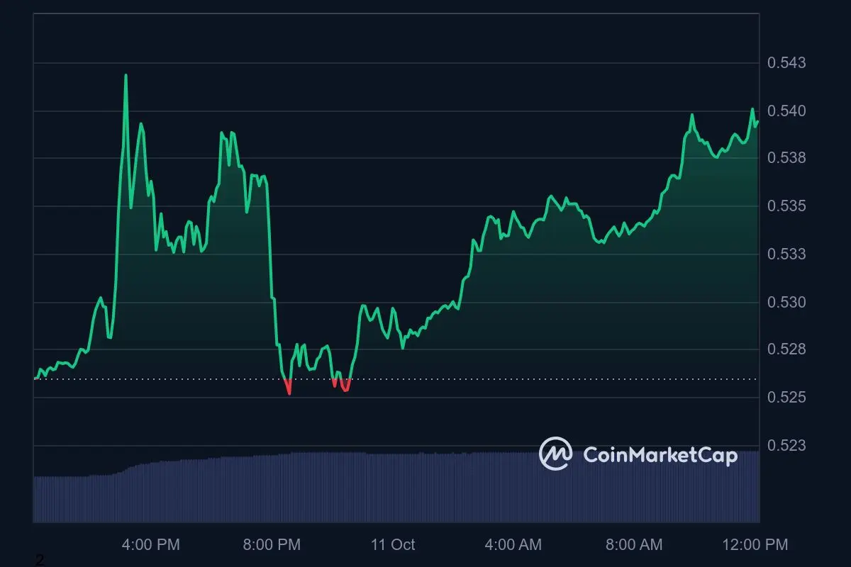 XRP Kurs Tagestrend 11. Oktober 2024