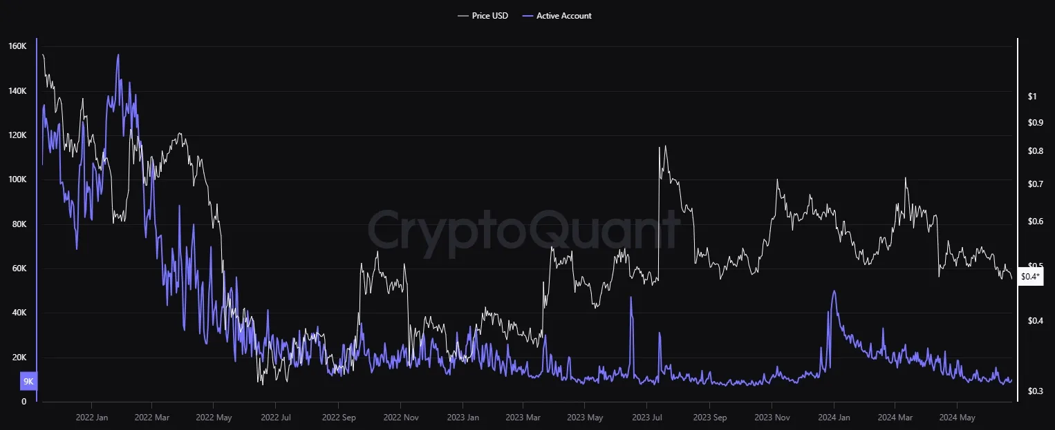 Aktive Adressen Ripple-Blockchain