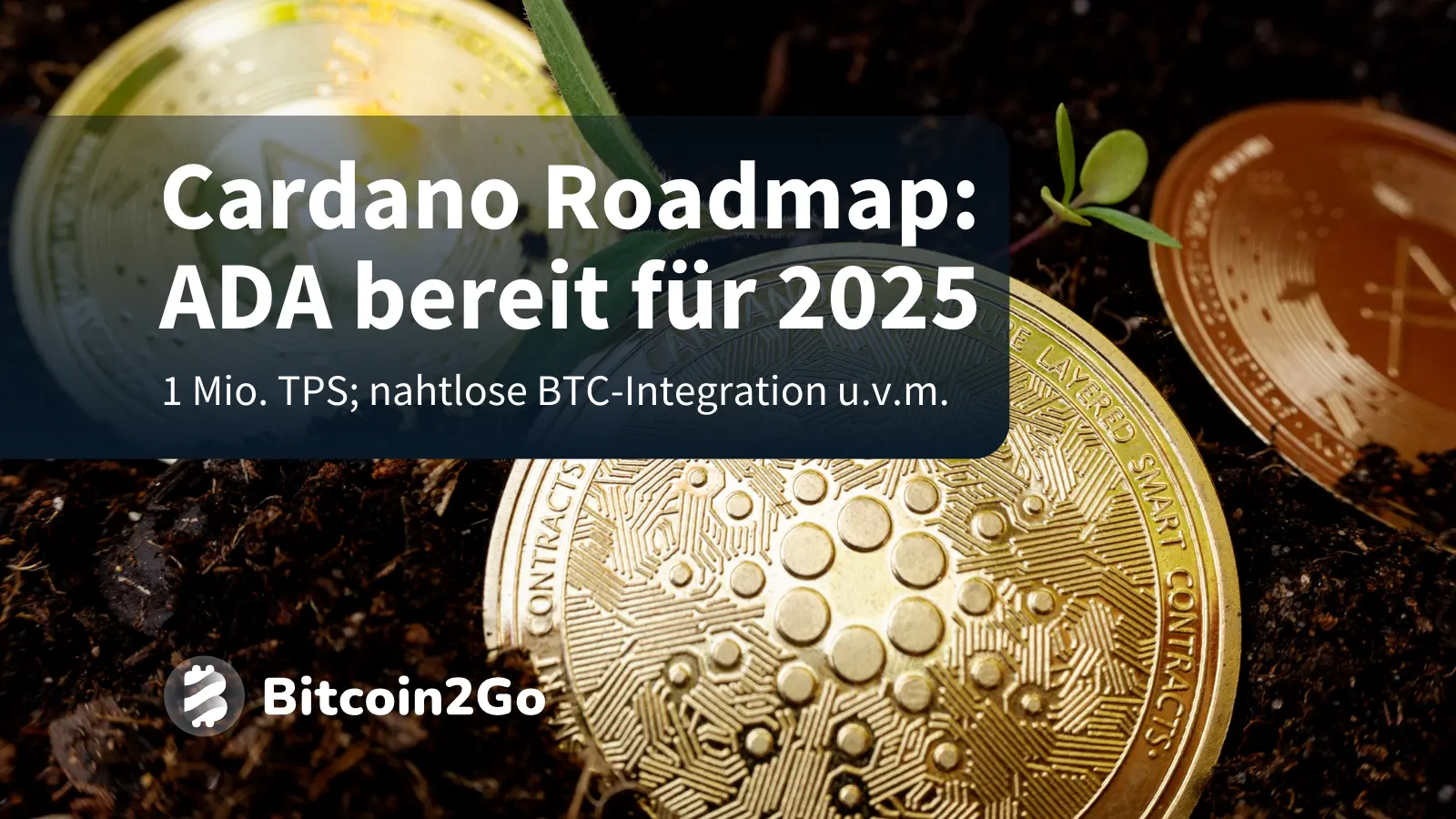 ADA News: Hoskinson stellt Cardano Roadmap für 2025 vor