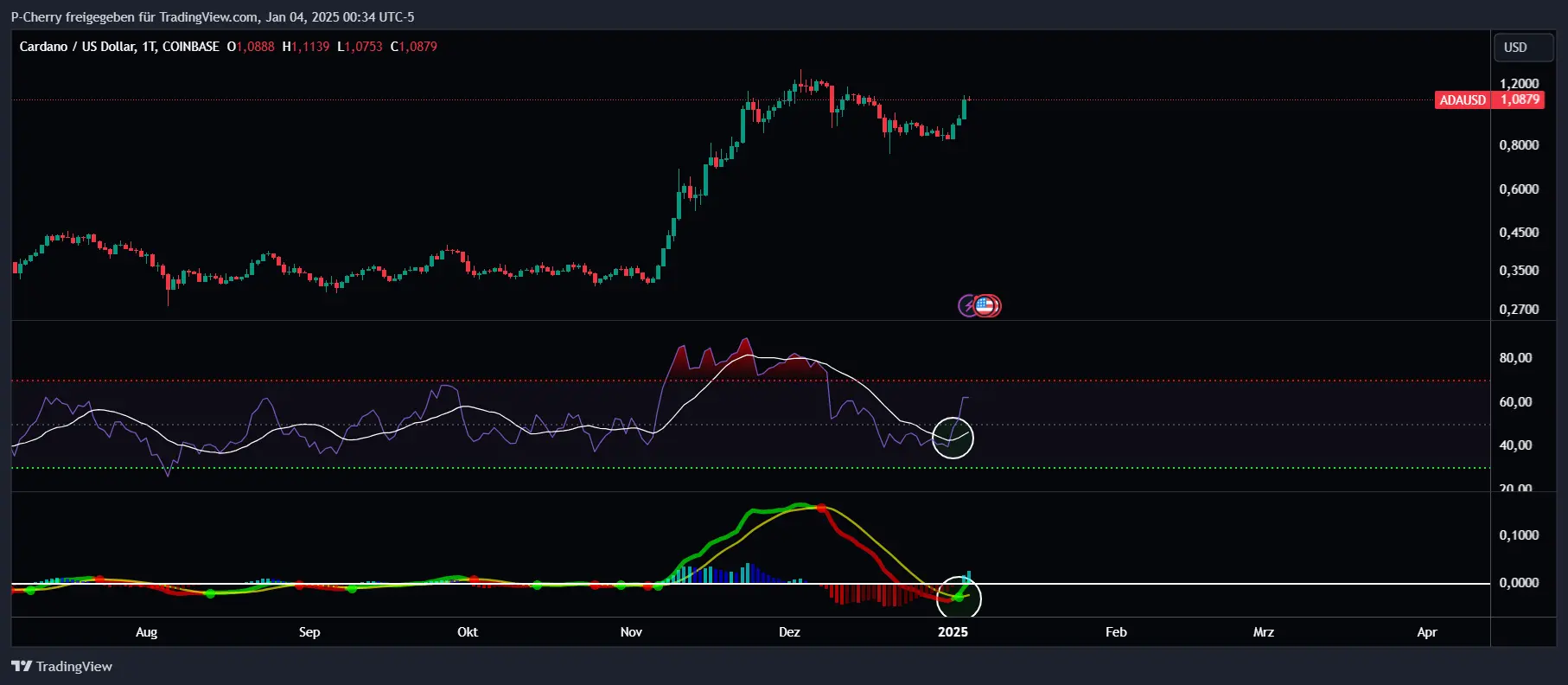 ADA, RSI & MACD, Tageschart, Quelle: Tradingview