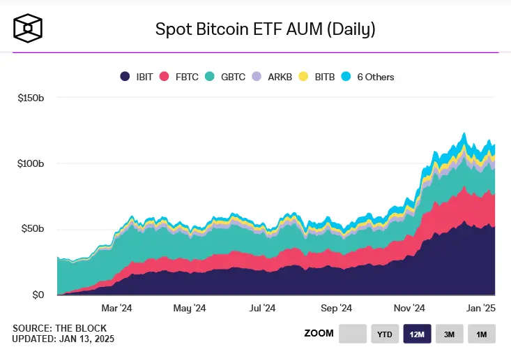 Bitcoin Spot ETFs AUM bis 13.01.2025