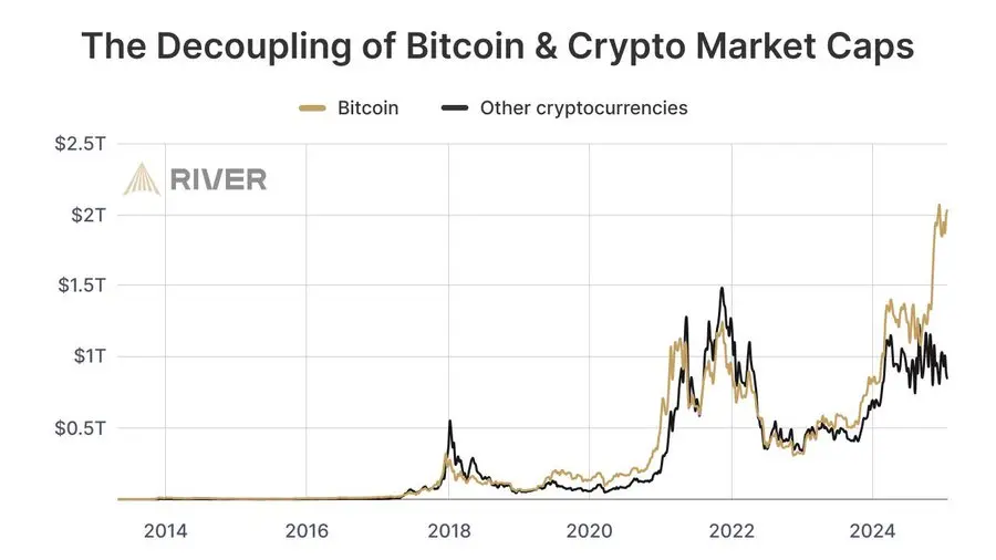 Bitcoin gewinnt immer stärkere Marktanteile