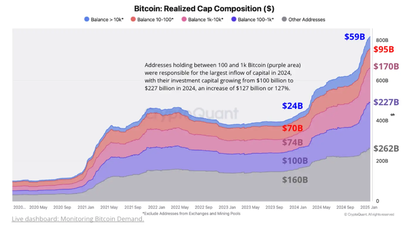 Bitcoin: Realisierte Market-Cap-Zusammensetzung. Quelle: CryptoQuant 