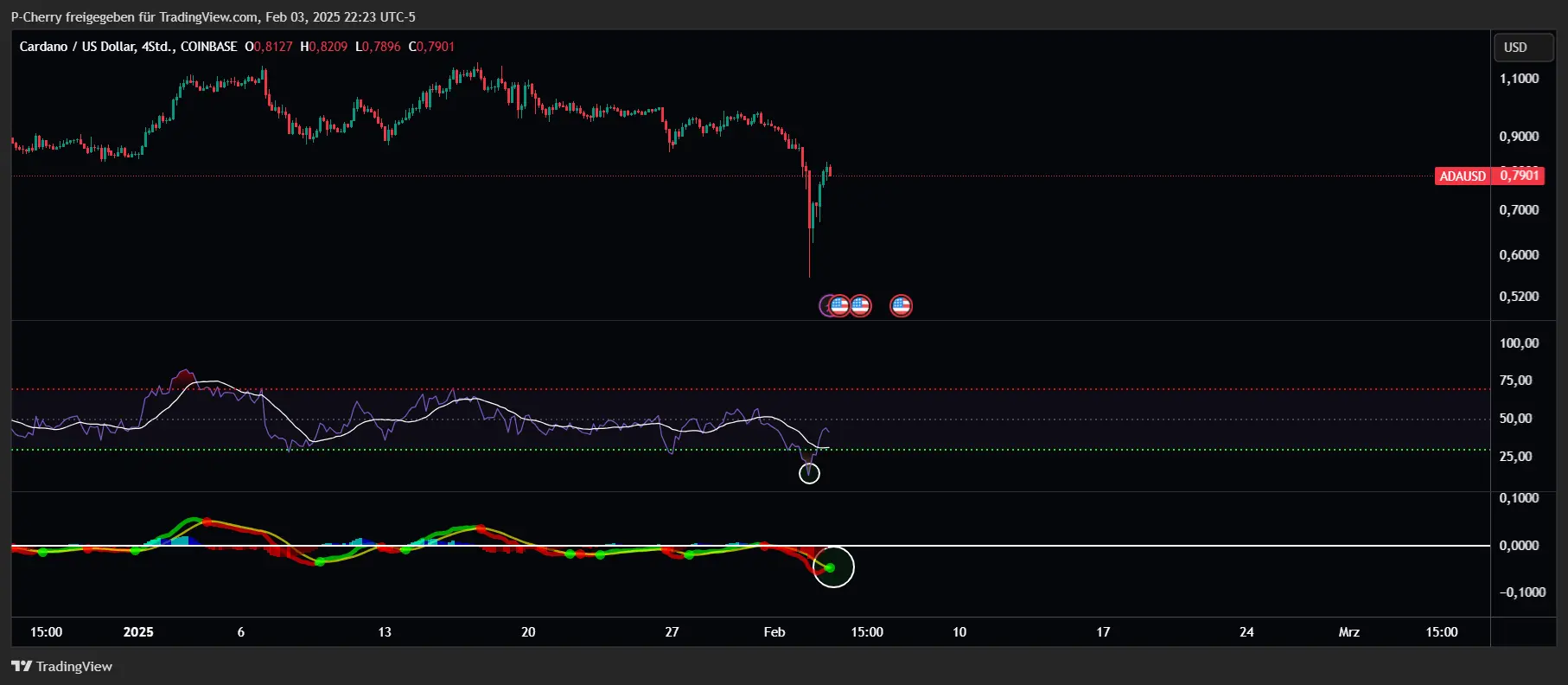 ADA, RSI & MACD, 4-Stundenchart, Quelle: Tradingview