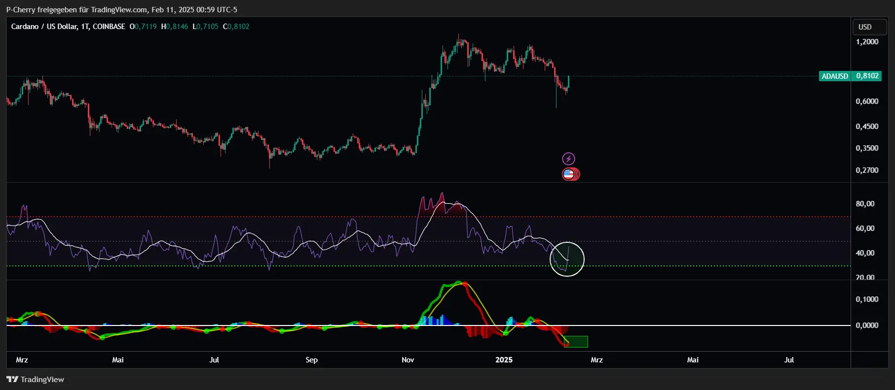 ADA, RSI & MACD, Tageschart, Quelle: Tradingview