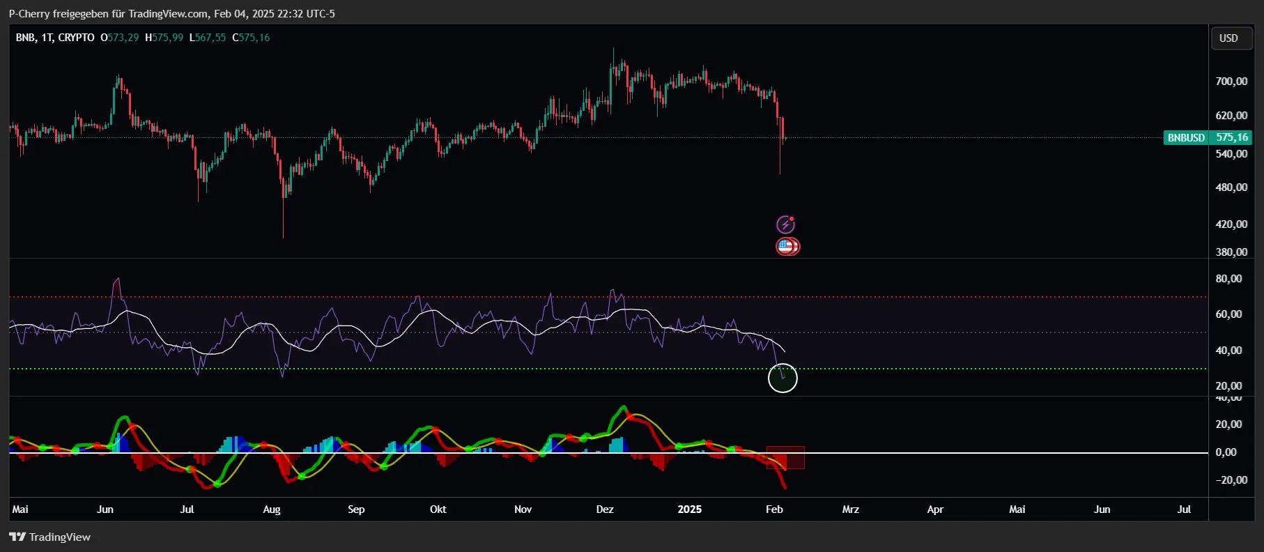 BNB, RSI und MACD, Tageschart, Quelle: Tradingview