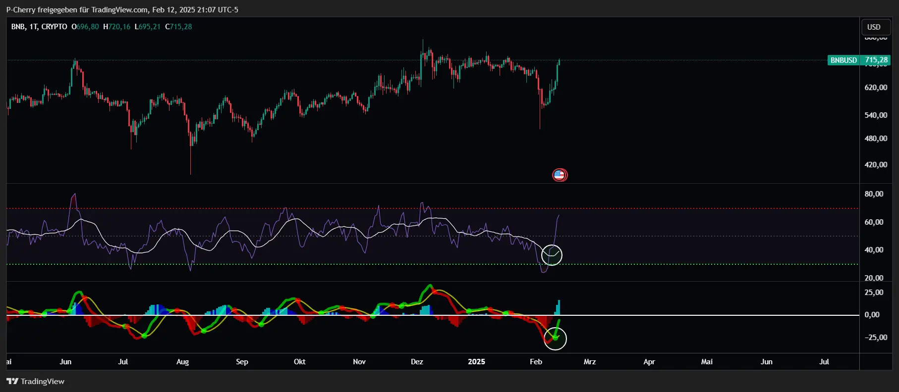 BNB, RSI und MACD, Tageschart, Quelle: Tradingview