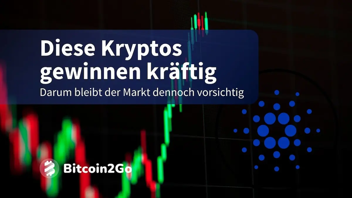 Krypto-Rallye voraus? Altcoins kämpfen sich zurück – BitRss