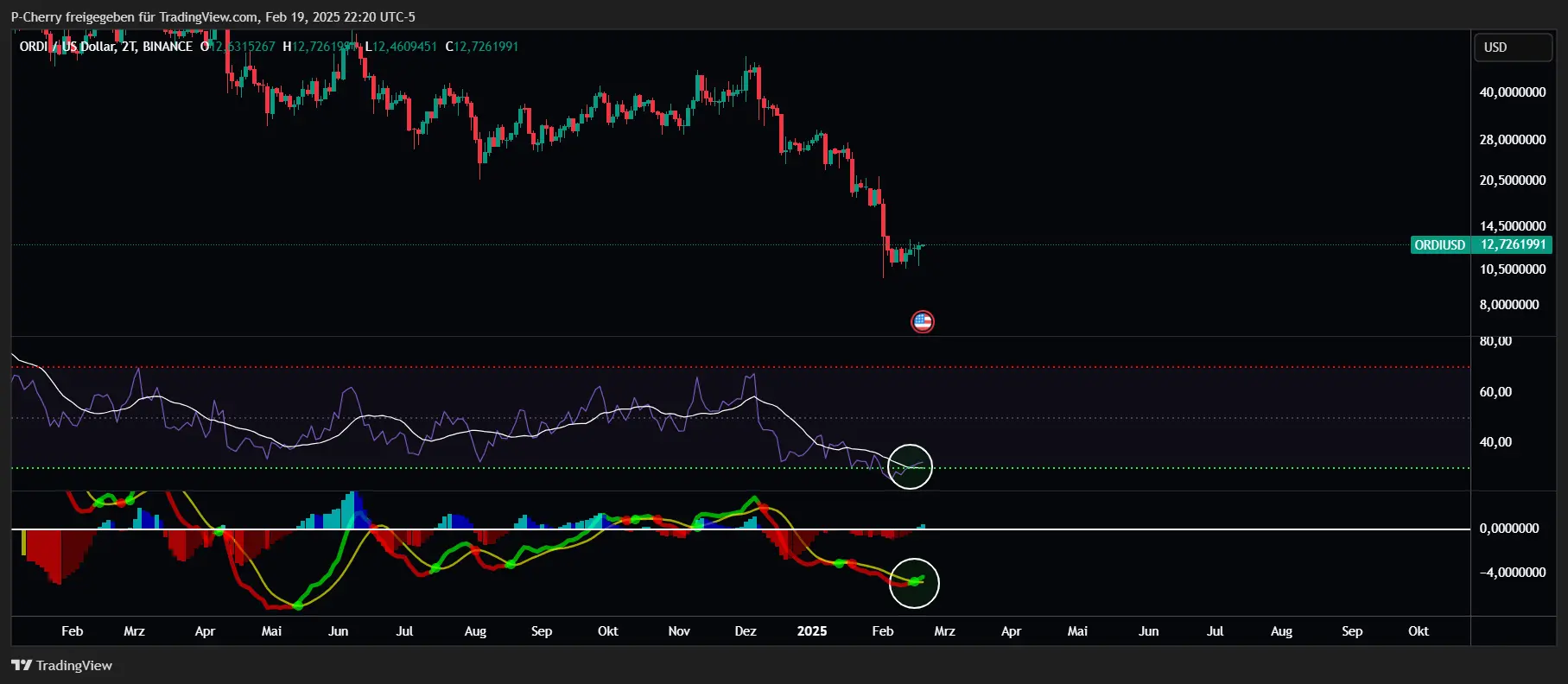 ORDI, RSI & MACD, 2-Tageschart, Quelle: Tradingview