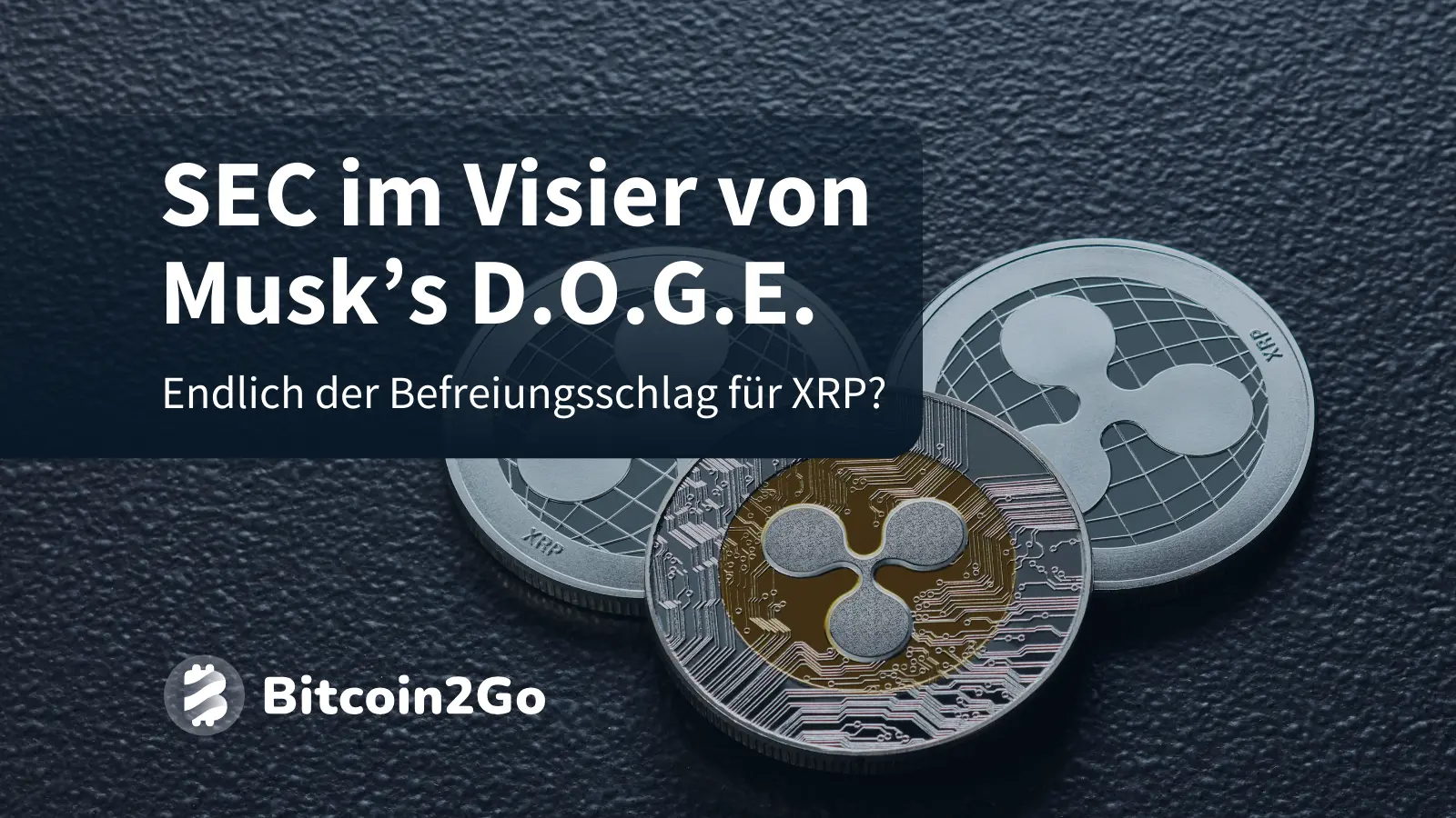 Elon-Musk-kn-pft-sich-die-SEC-vor-Ripple-XRP-als-Profiteur-