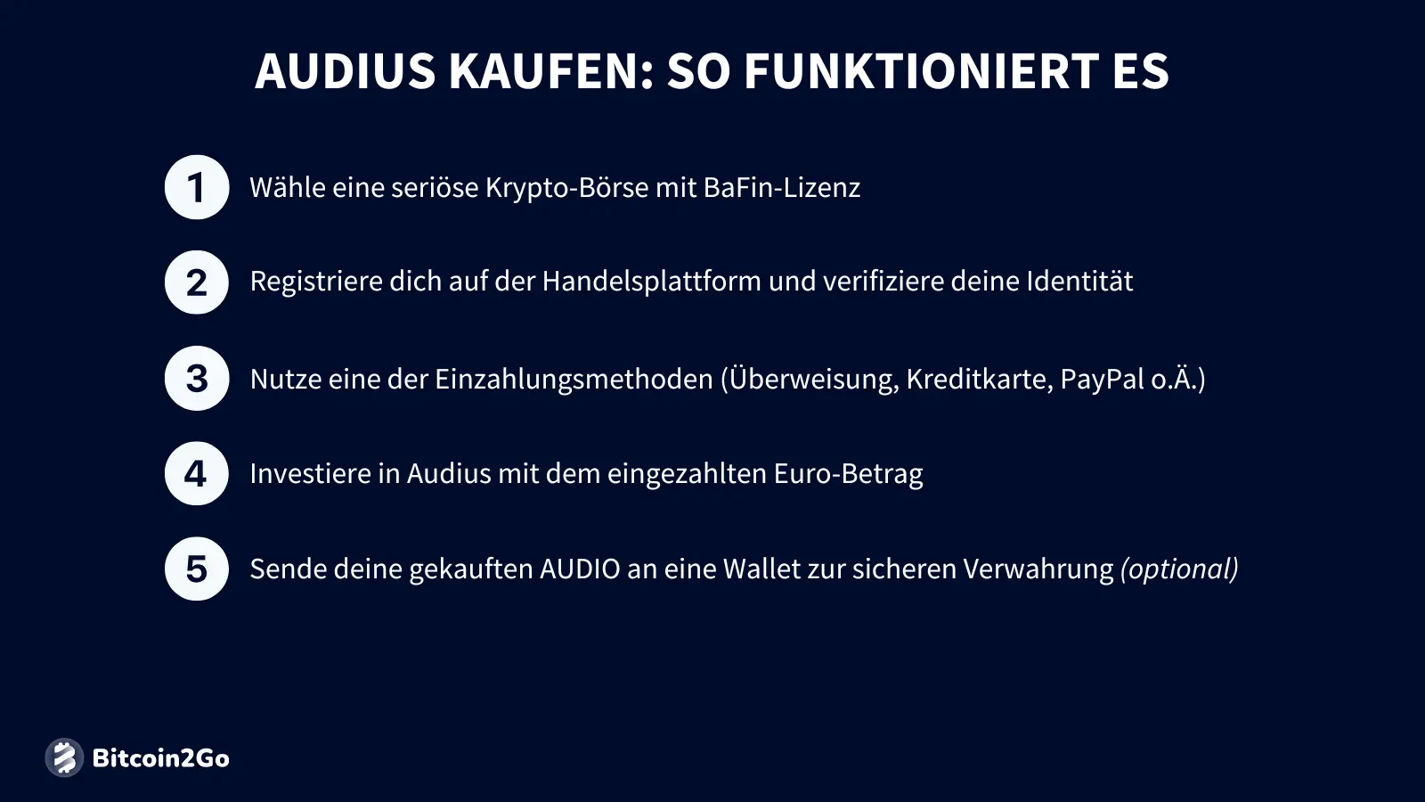 Audius Kaufanleitung