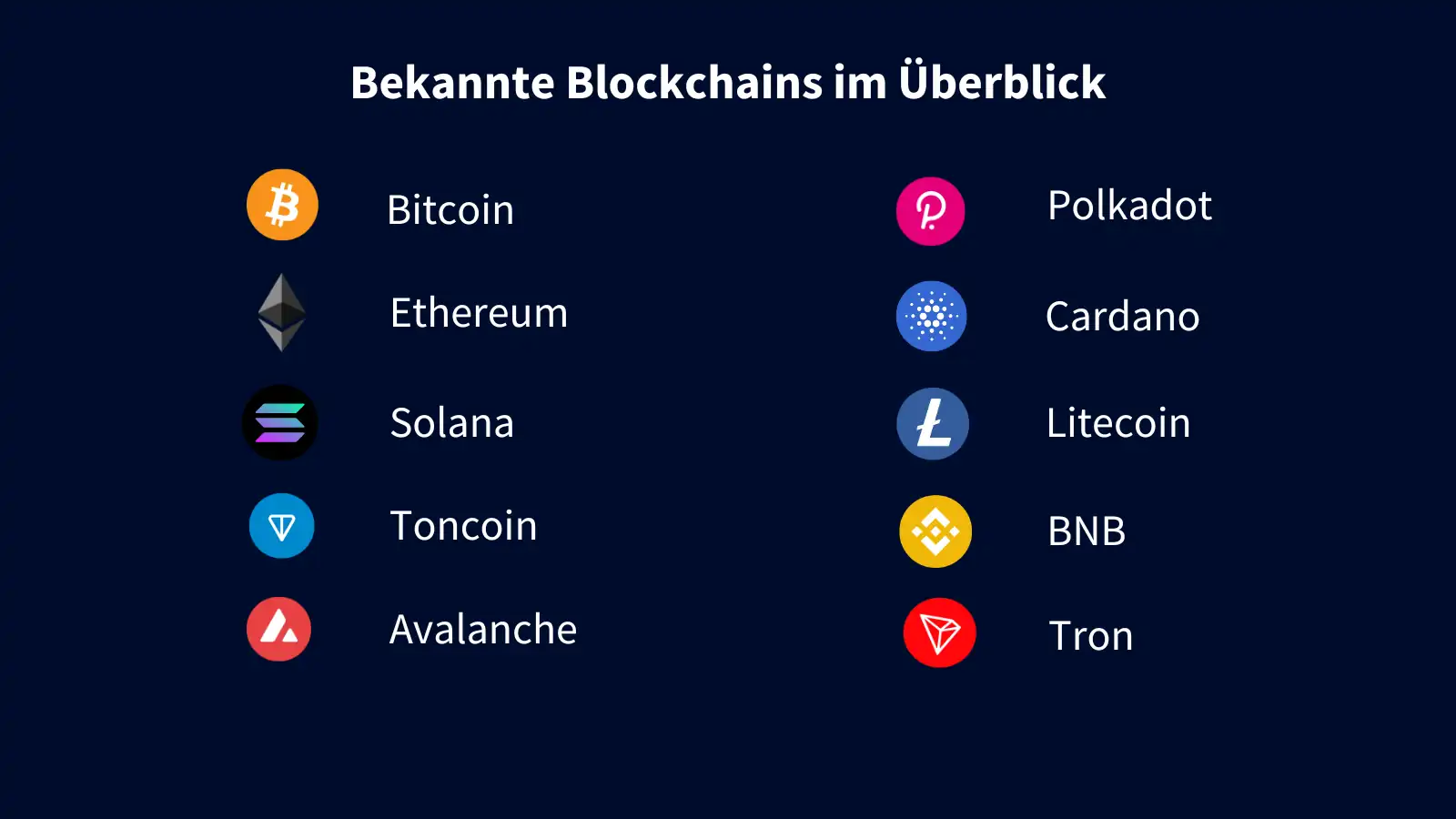 Bekannte Blockchains im Überblick