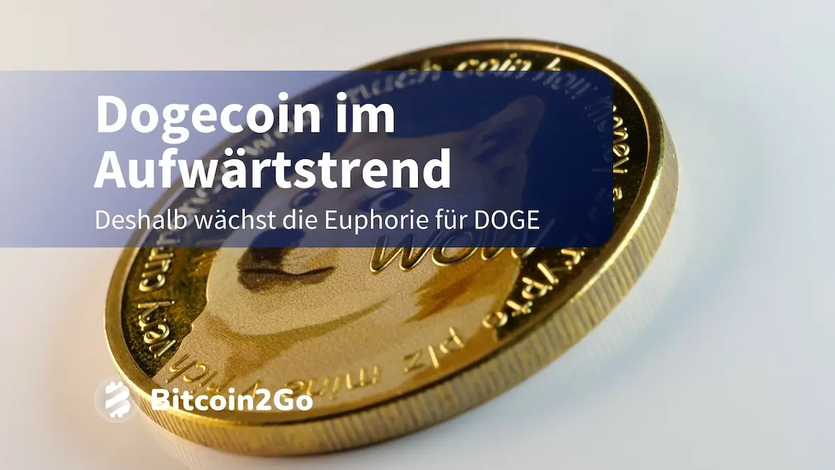 Dogecoin boomt: ETF-Spekulation treibt Wallet-Aktivität
