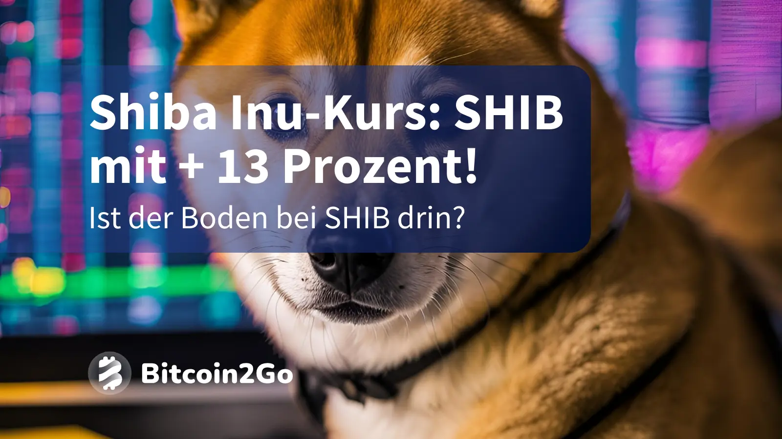 Shiba Inu Kurs: Kommt jetzt der nächste Pump?