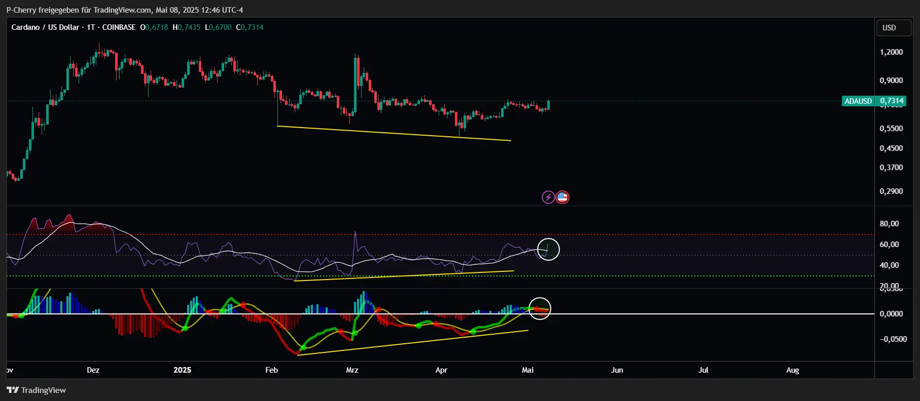 ADA, RSI & MACD, Tageschart, Quelle: Tradingview