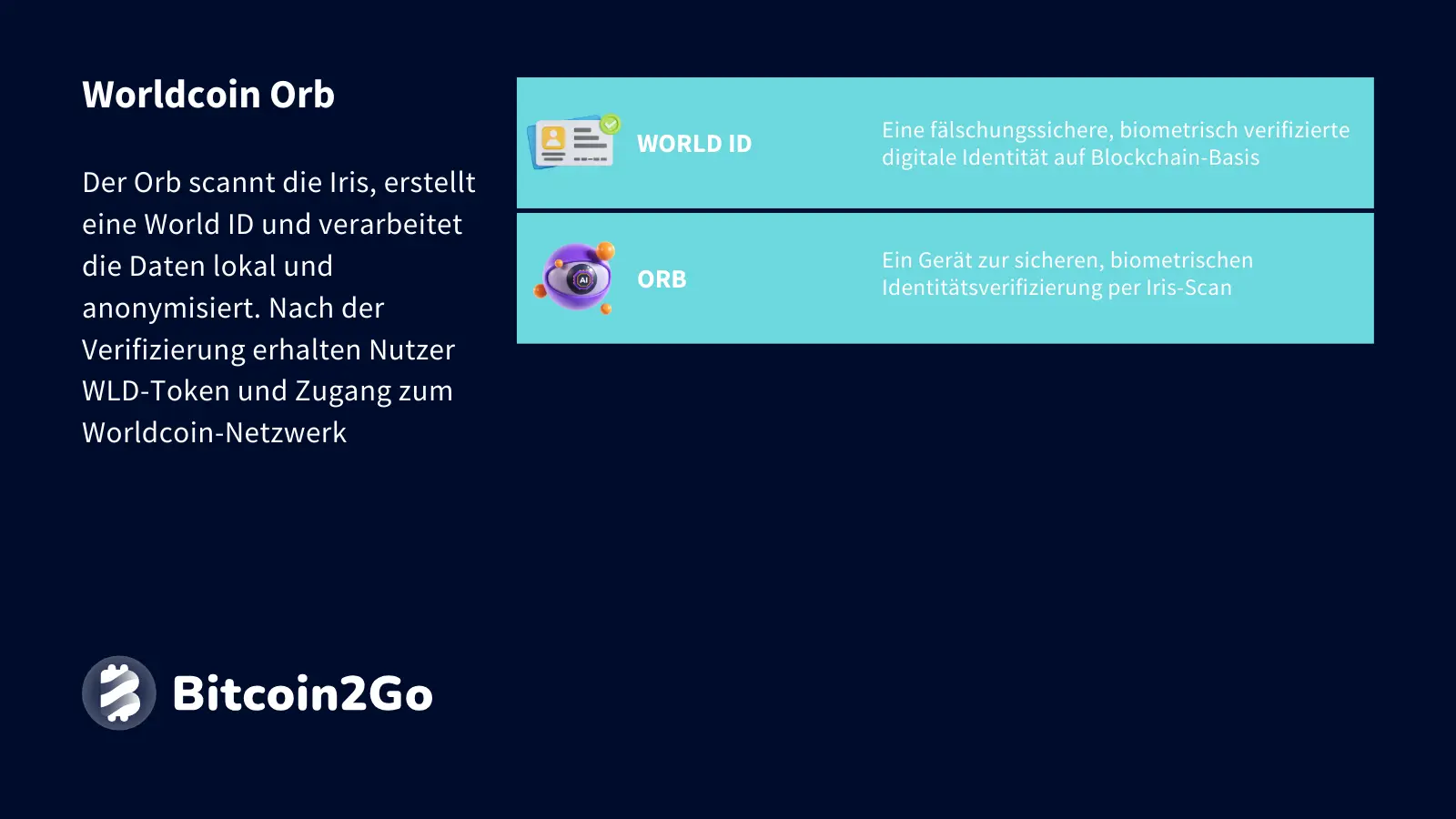 Erklärung Worldcoin Orb
