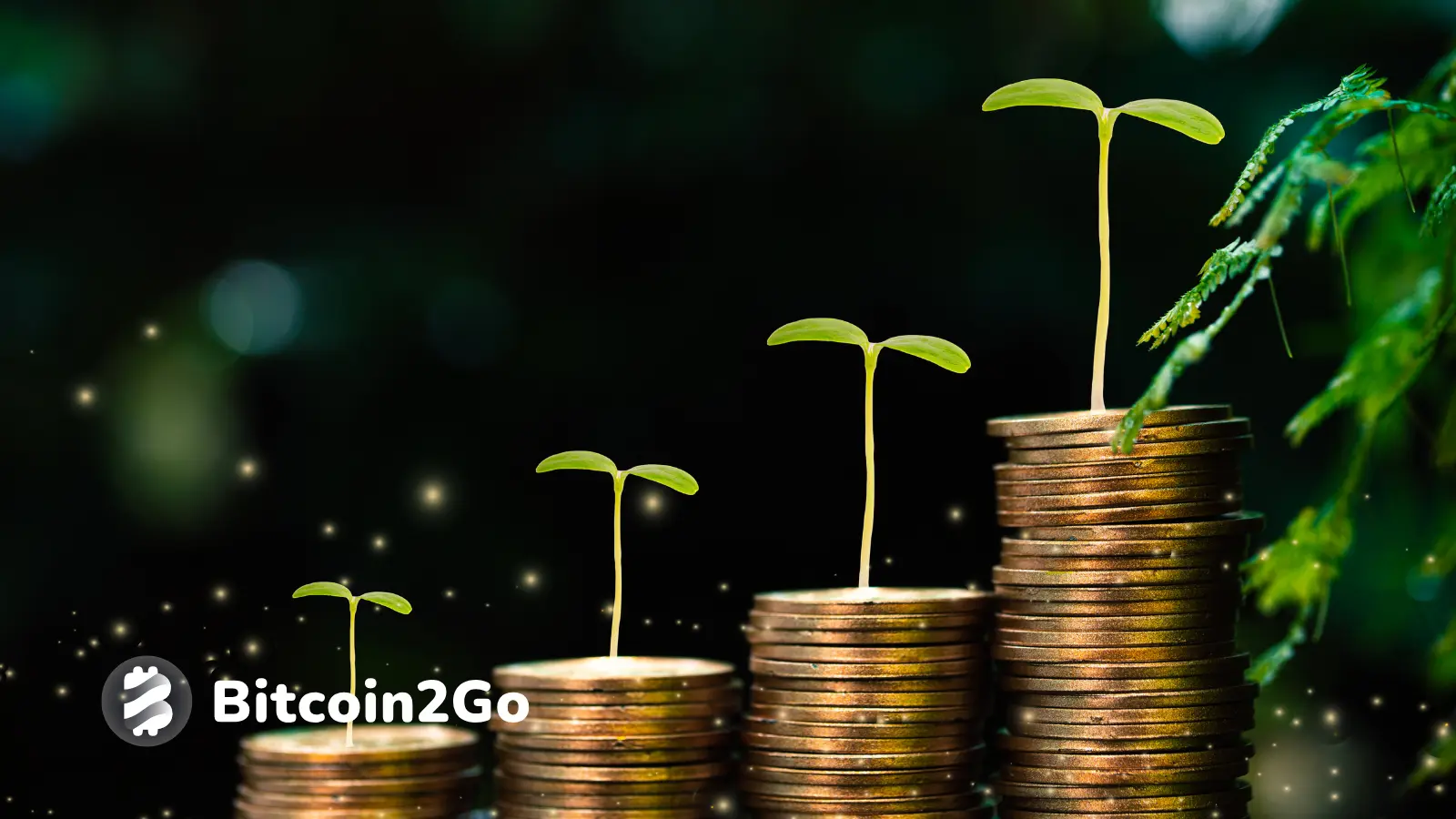 Bei Worldcoin (WLD) ist kein Staking möglich, aber Alternativen wie Krypto-Lending und Yield Farming existieren
