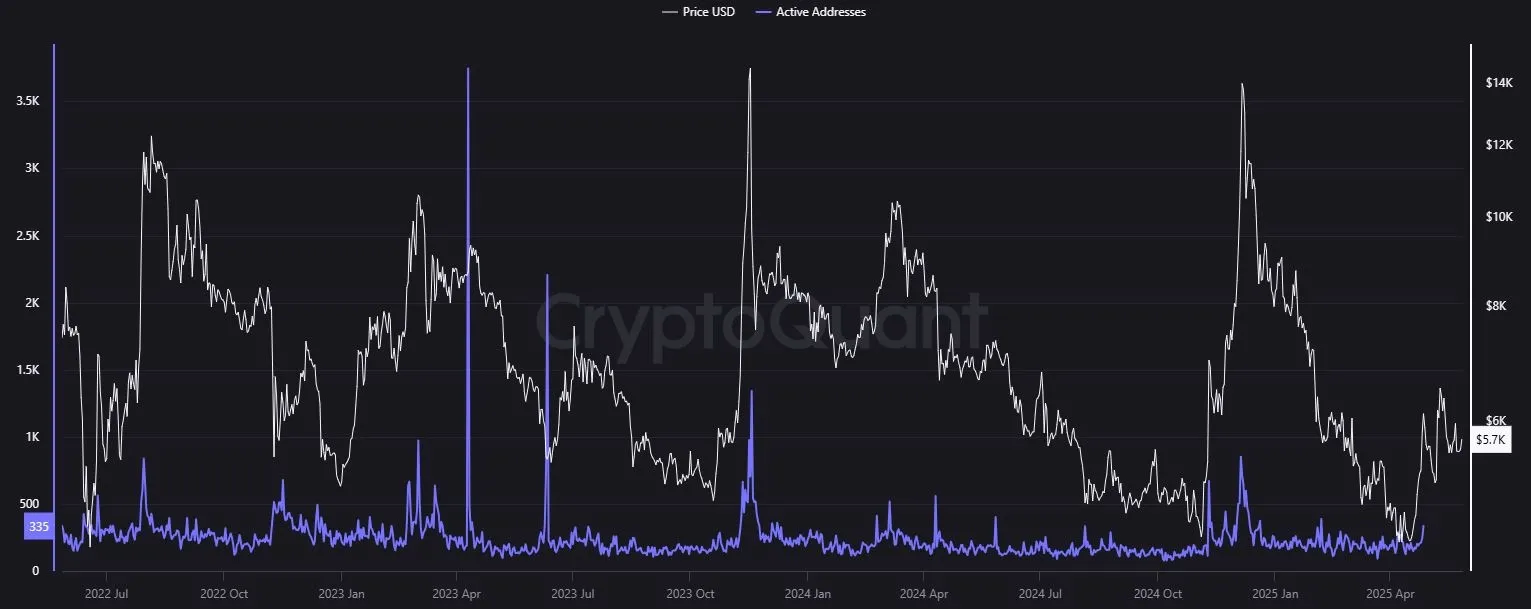 Yearn Finance YFI - Aktive Adressen (Quelle: cryptoquant.com)
