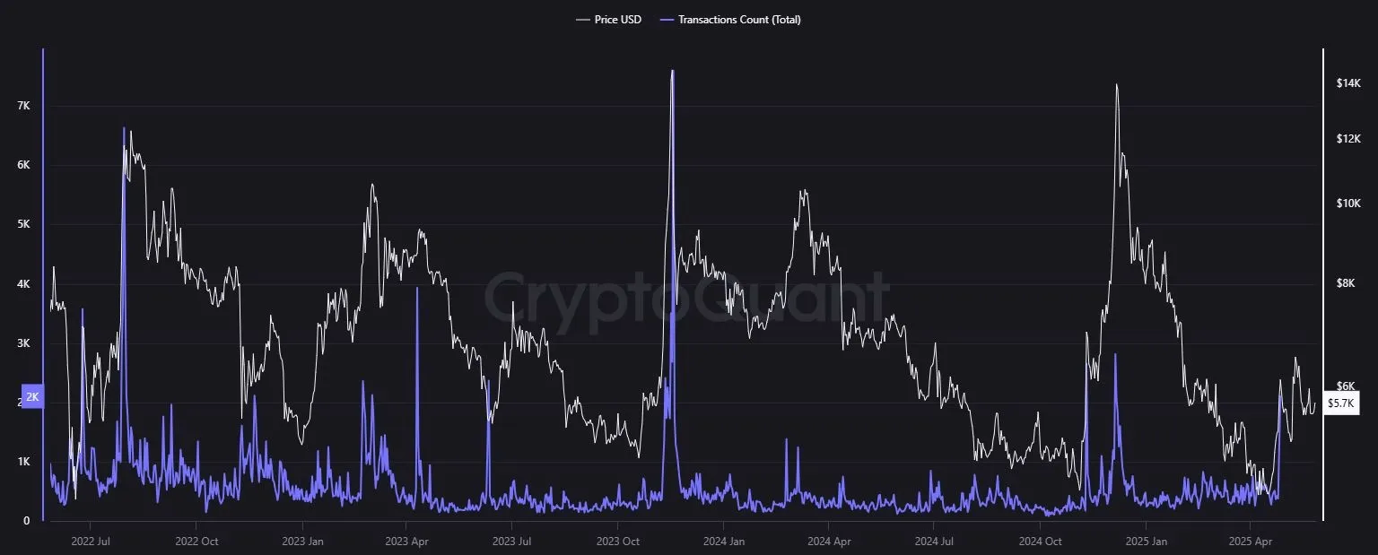 Yearn Finance YFI - Transactions Count (Quelle: cryptoquant.com)