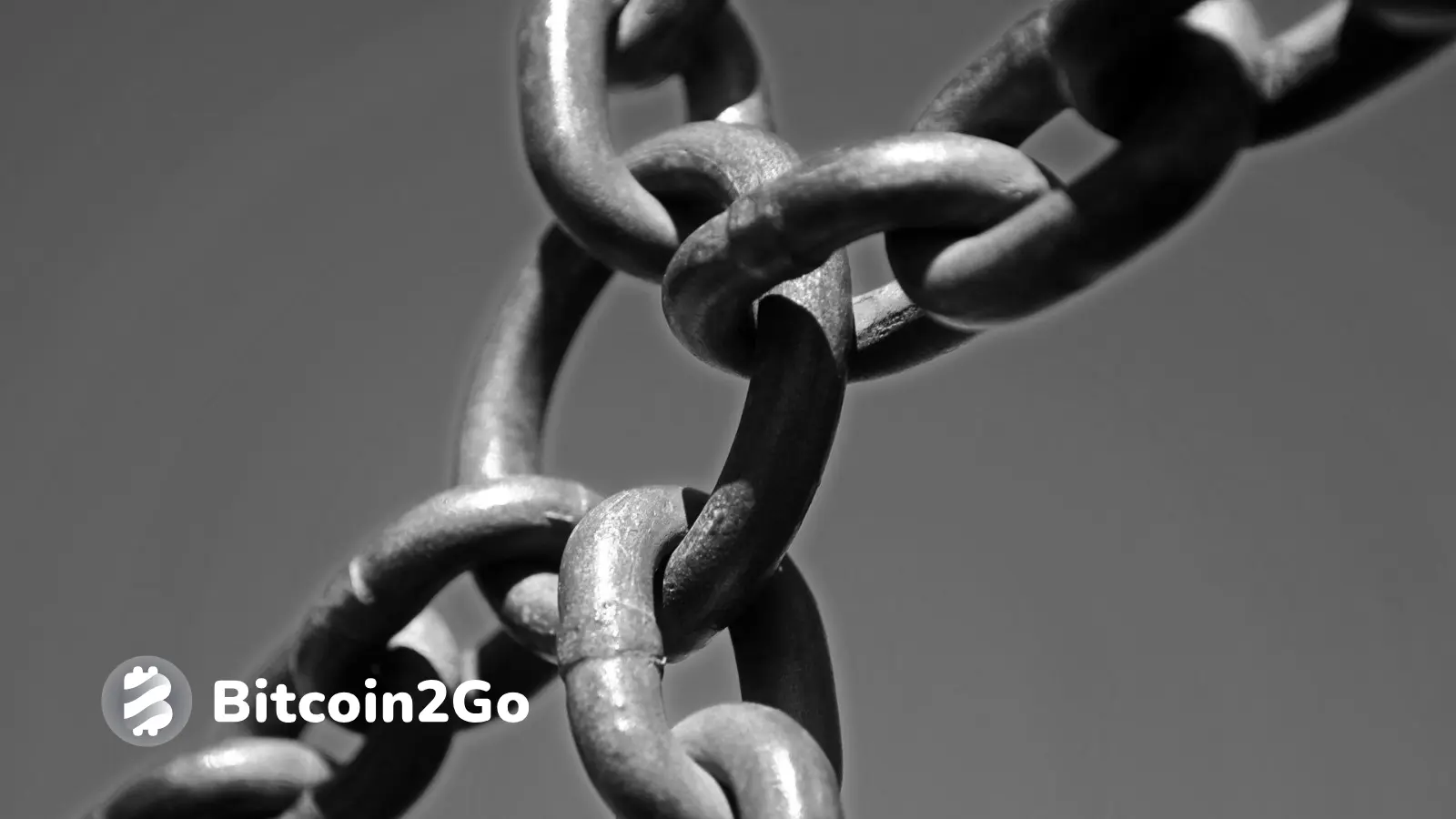 Abhängigkeit der Trust Wallet App als Nachteil des Trust Wallet Token (TWT)