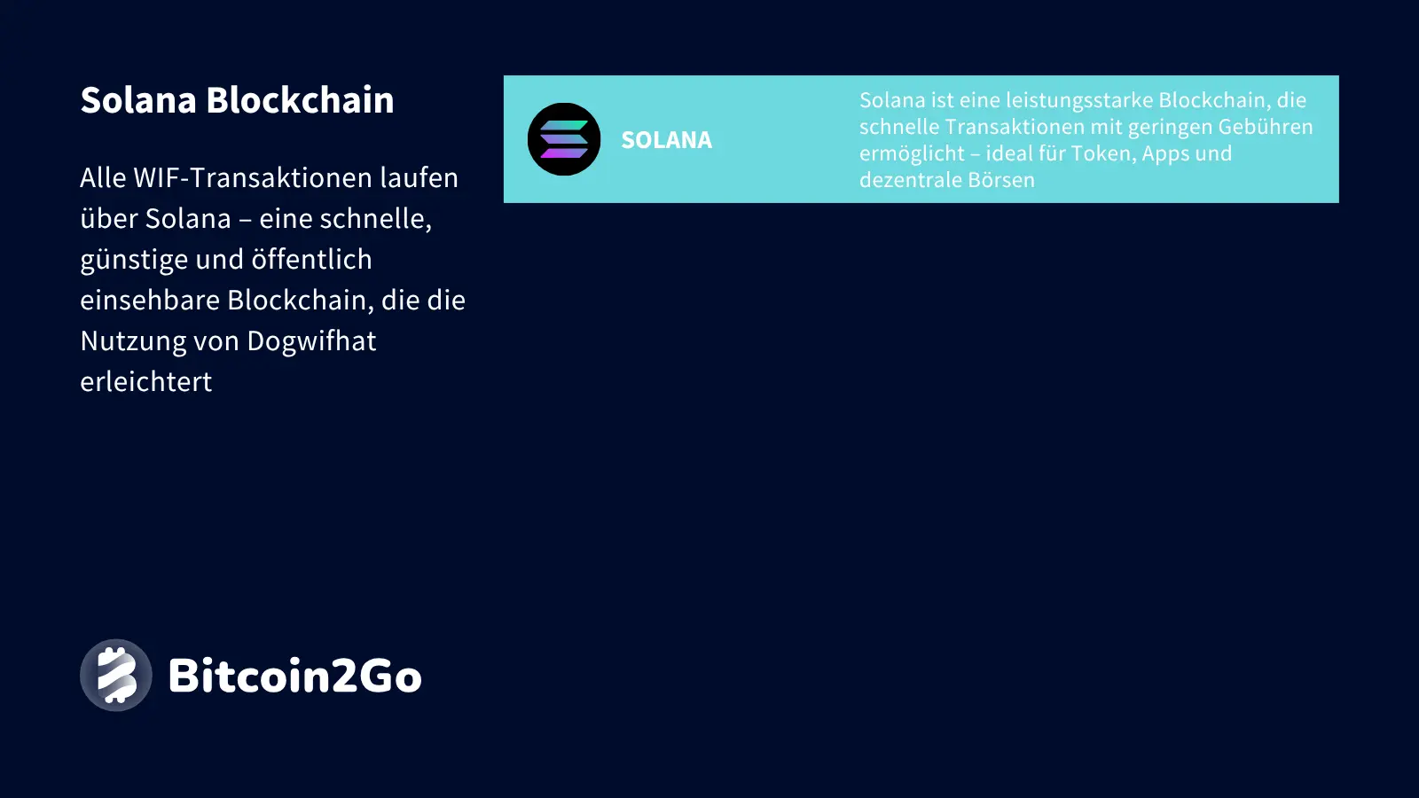 Erklärung Solana Blockchain bei Dogwifhat (WIF)