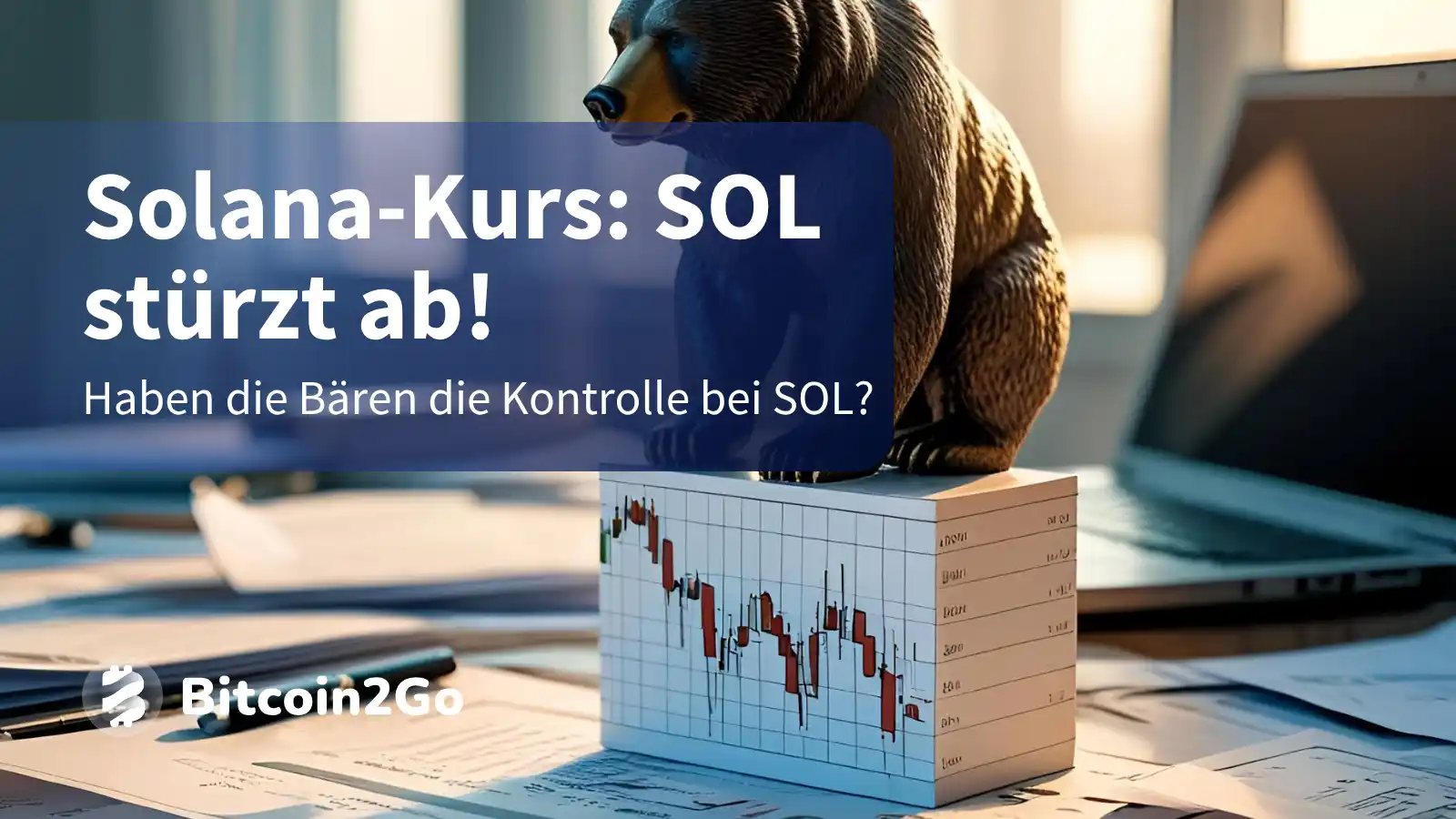Solana-Kurs: B&auml;ren schlagen zu! Wie tief f&auml;llt SOL jetzt?