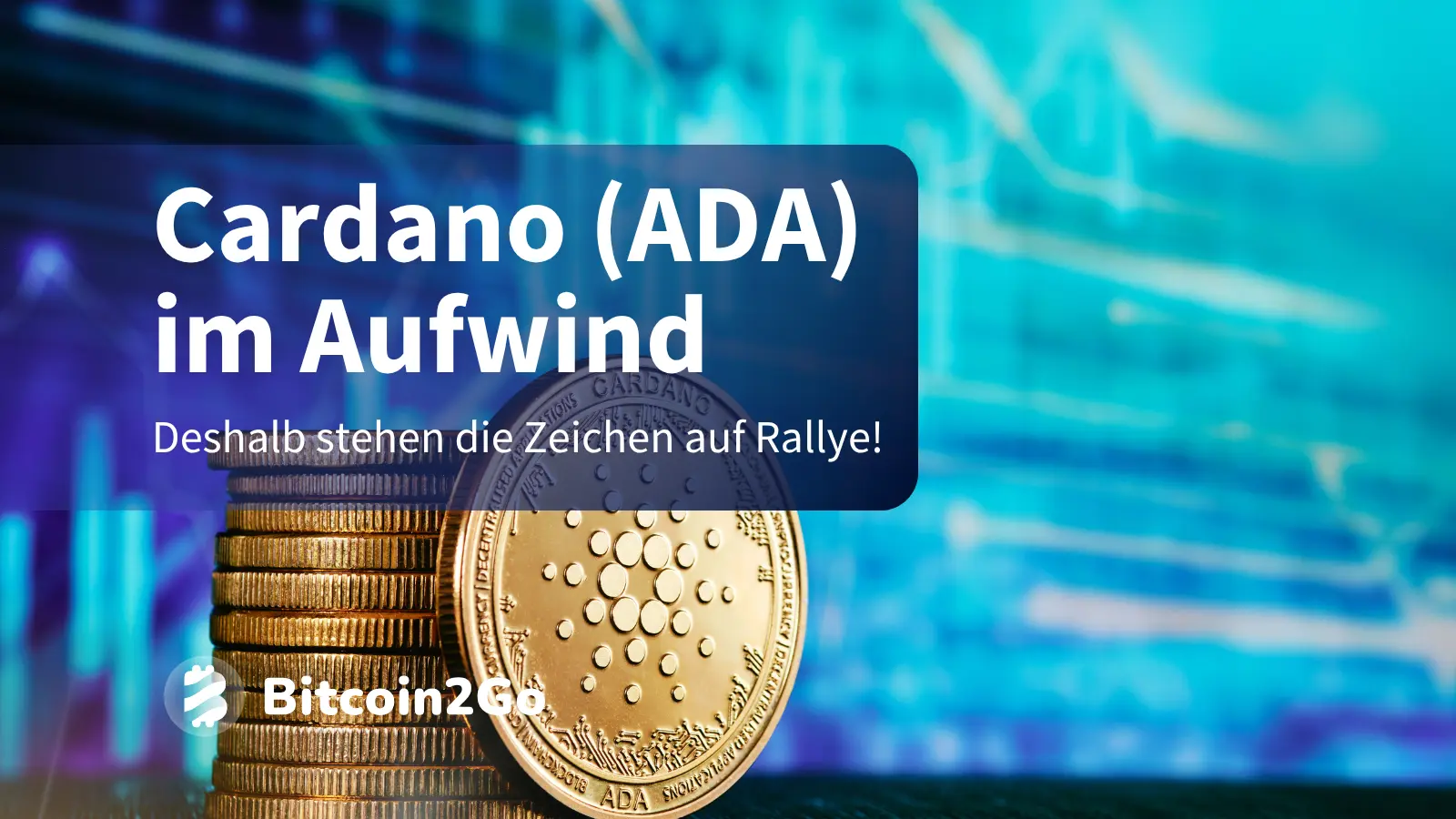 Cardano-Kurs macht sich bereit für langfristige Rallye 📈