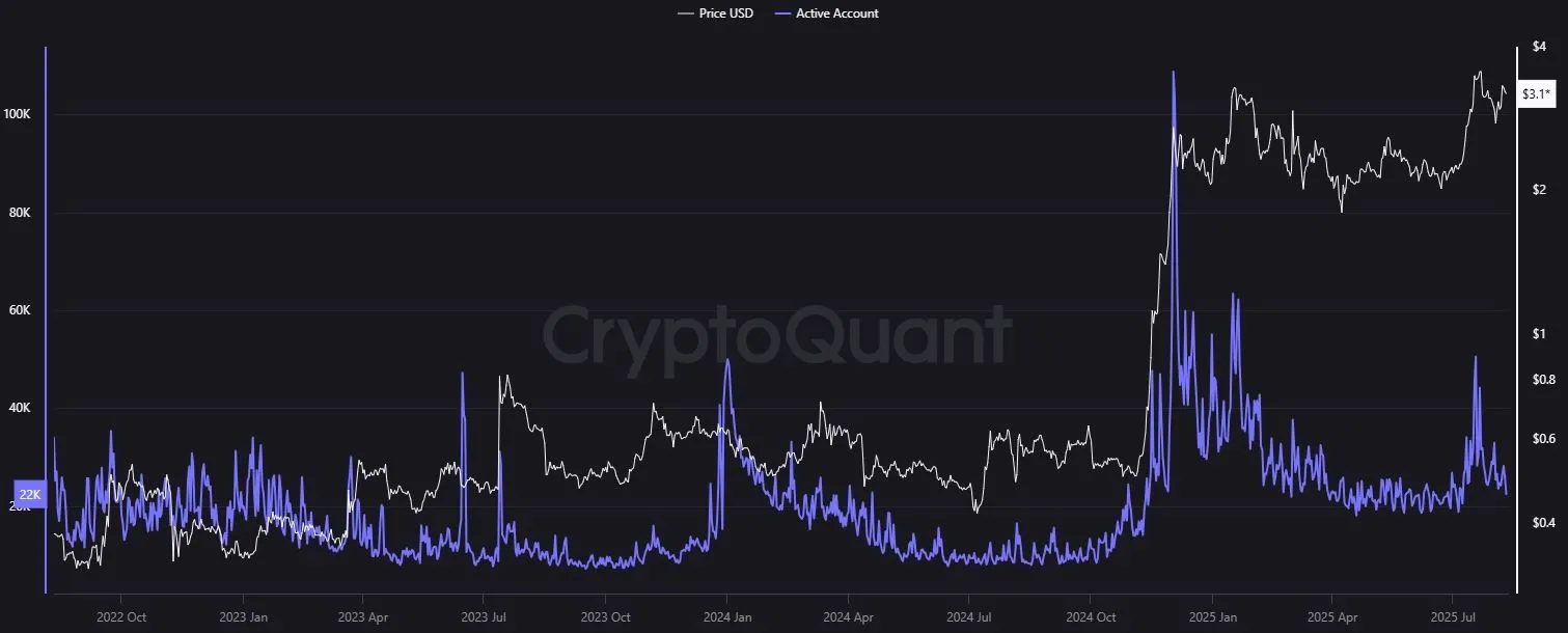 Aktive Adressen Ripple-Blockchain