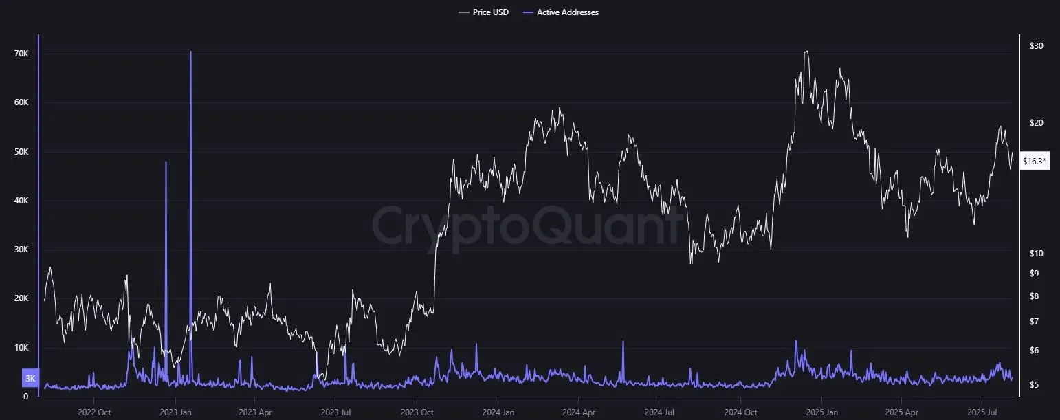 Aktive Adressen in der Chainlink Blockchain