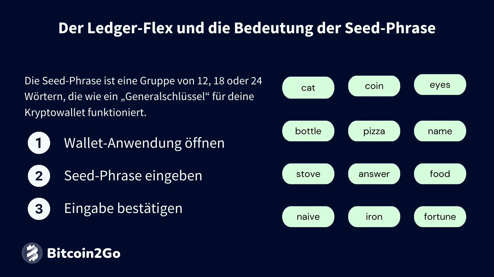 Ledger Flex Sicherheit im Test