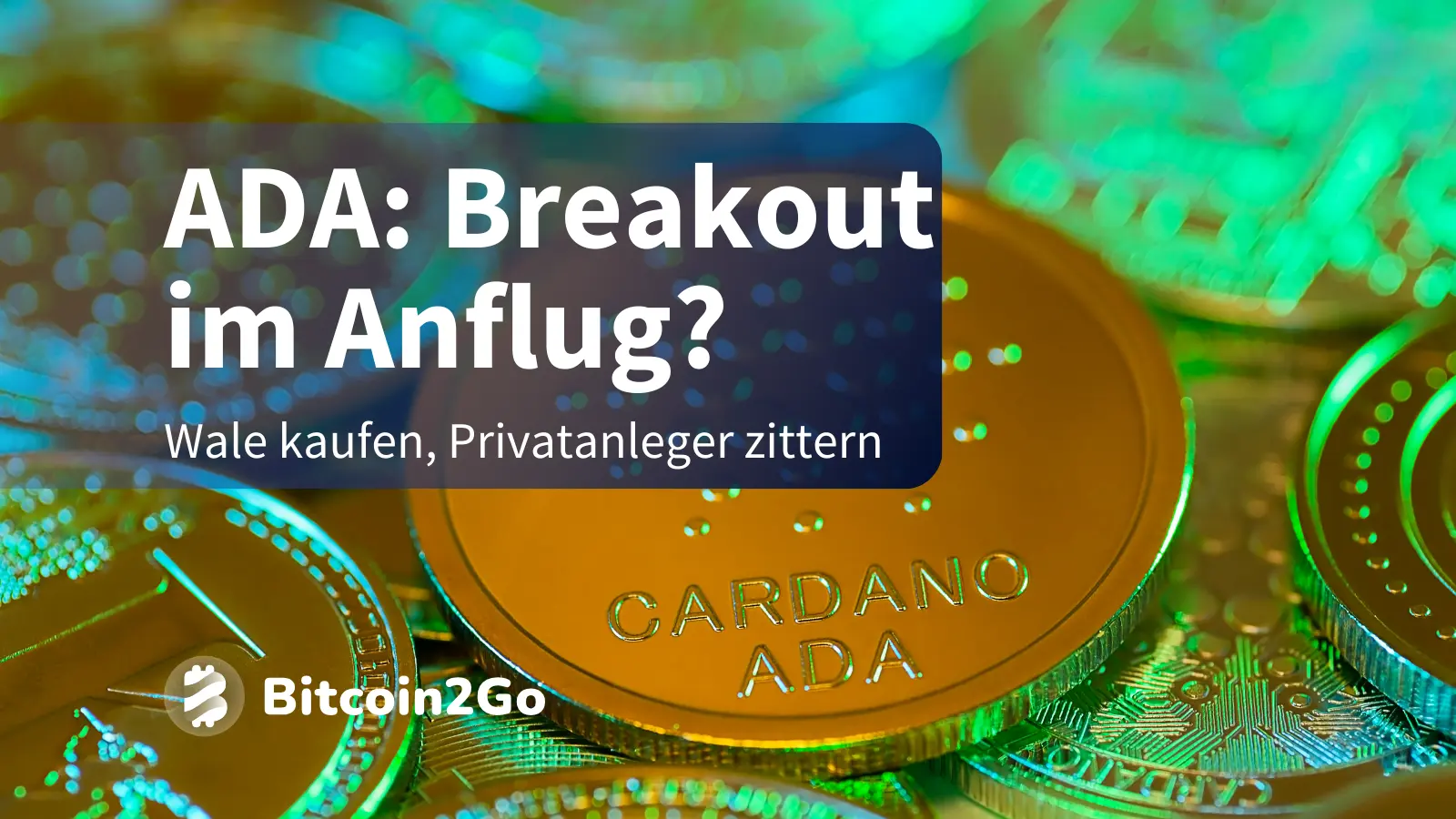 Cardano-ADA-im-Wal-Visier-Retail-Panik-als-Chance-
