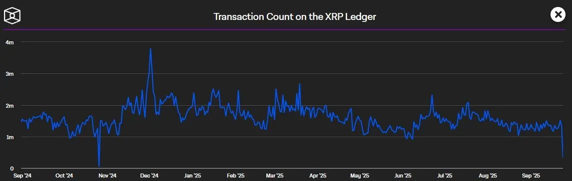 Taegliche XRP Transaktionen