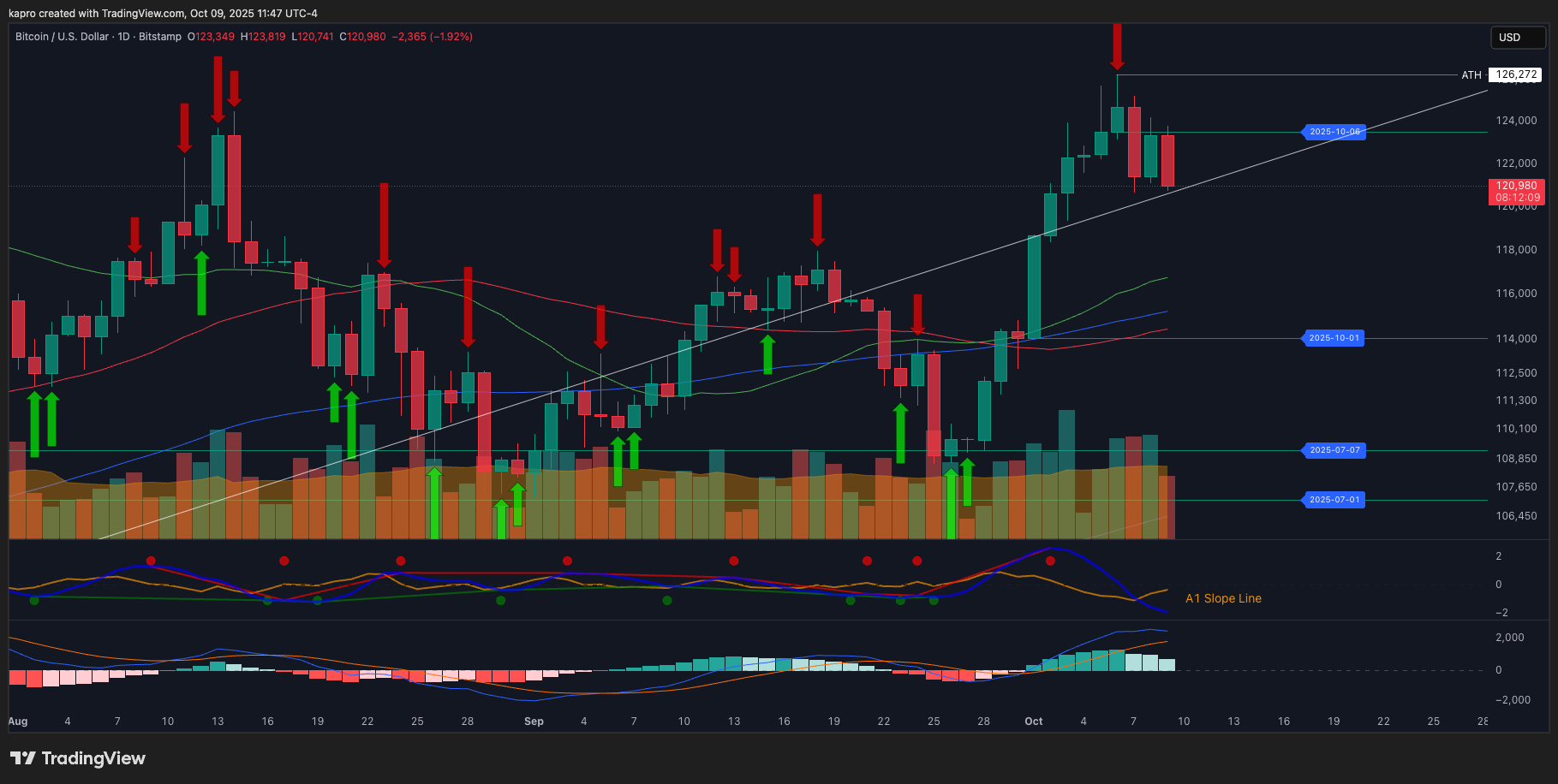 BTC/USD-Tageschart. Quelle: Material Indicators/X