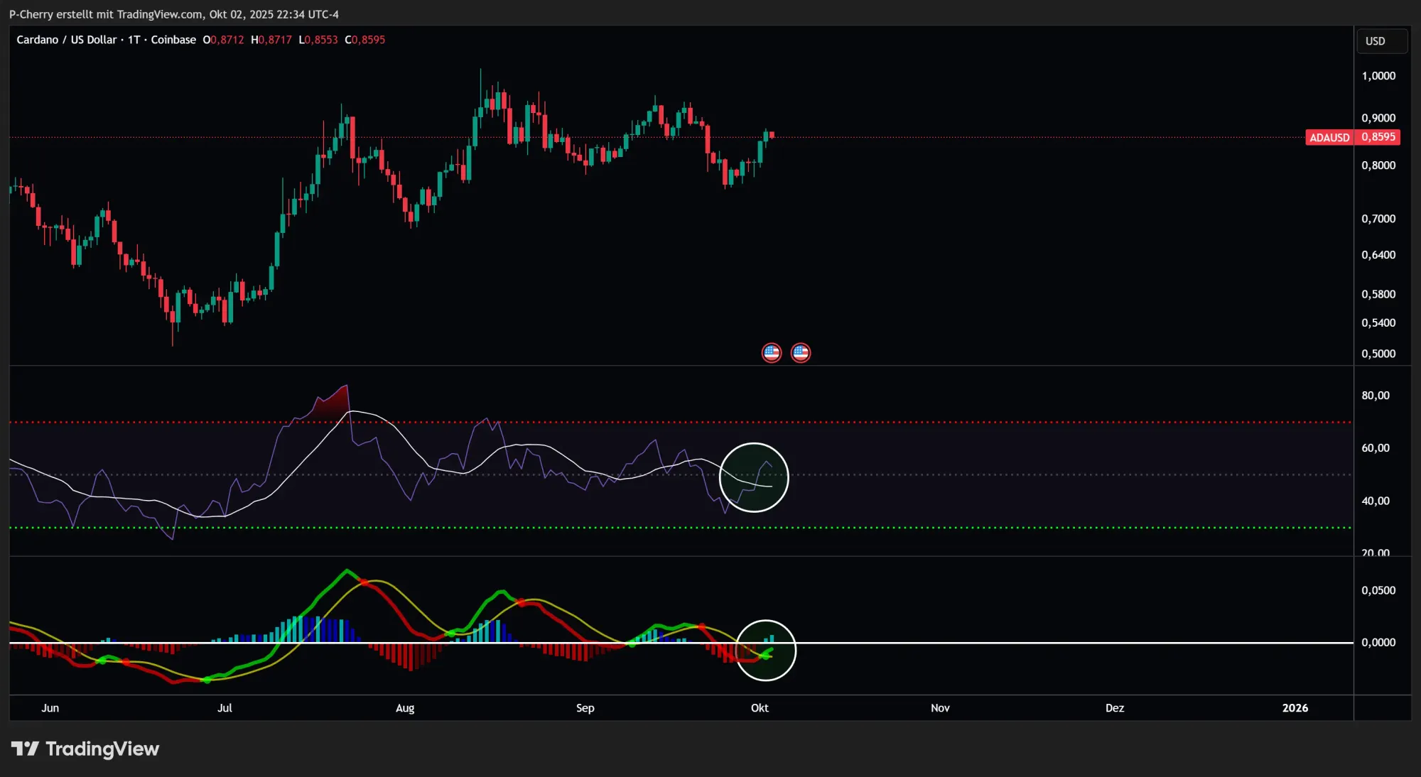 ADA: RSI & MACD, Tageschart, Quelle: Tradingview