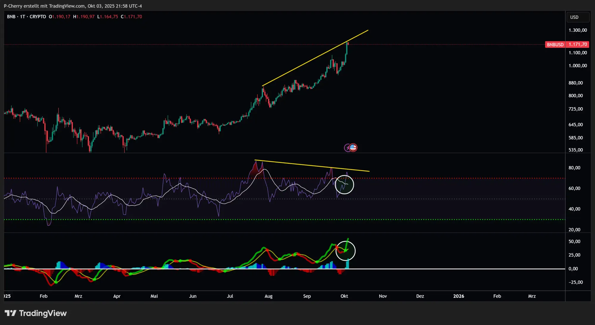 BNB, RSI und MACD, Tageschart, Quelle: Tradingview